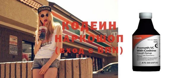 2c-b Инсар