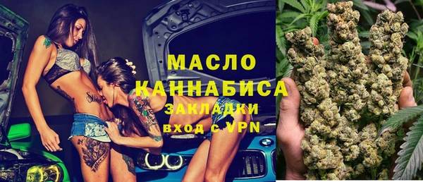 2c-b Инсар
