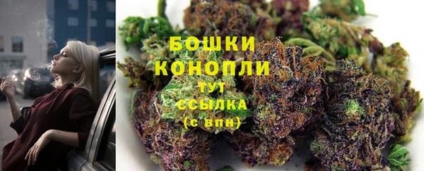 2c-b Инсар