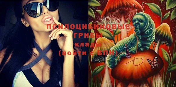альфа пвп Инта